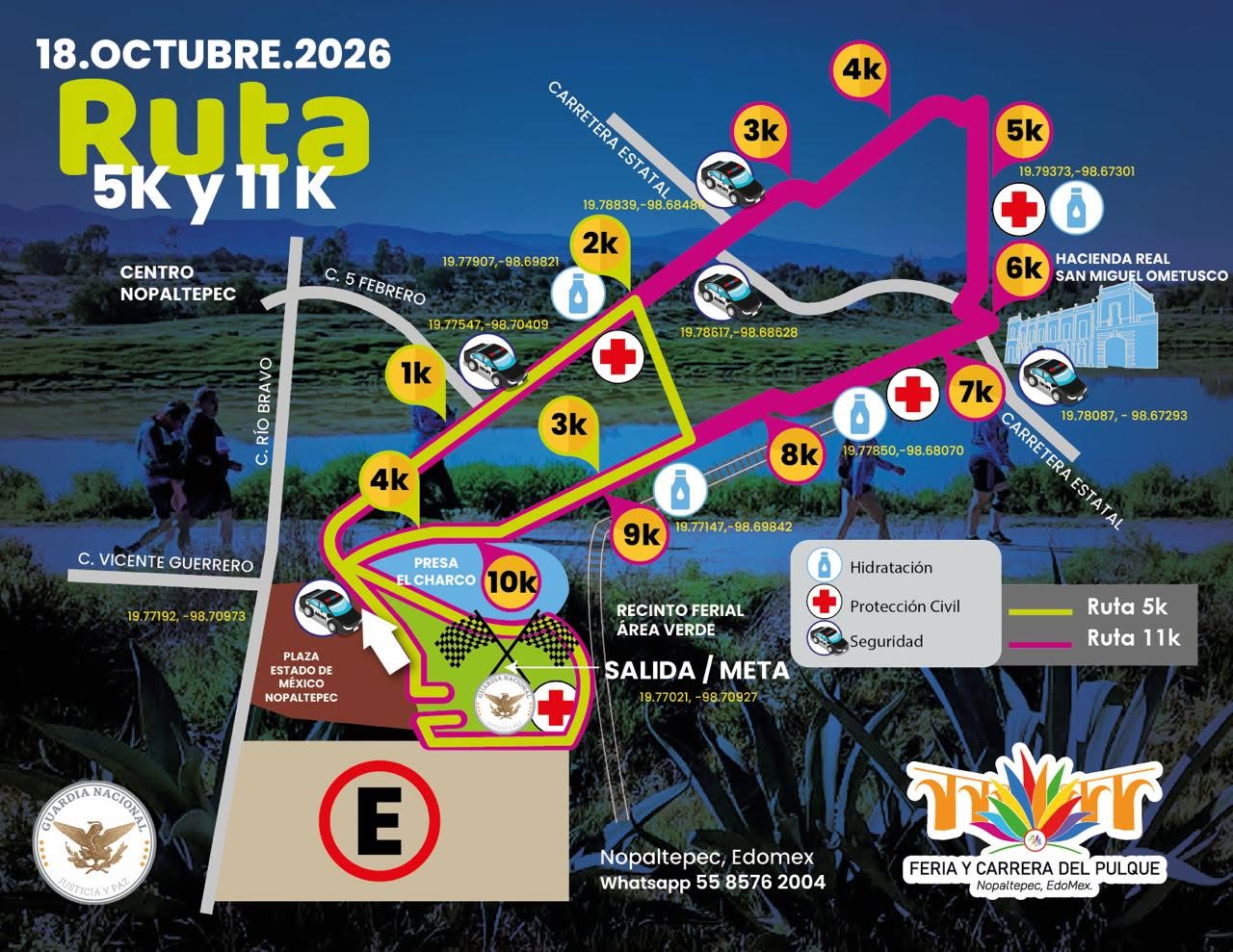Ruta